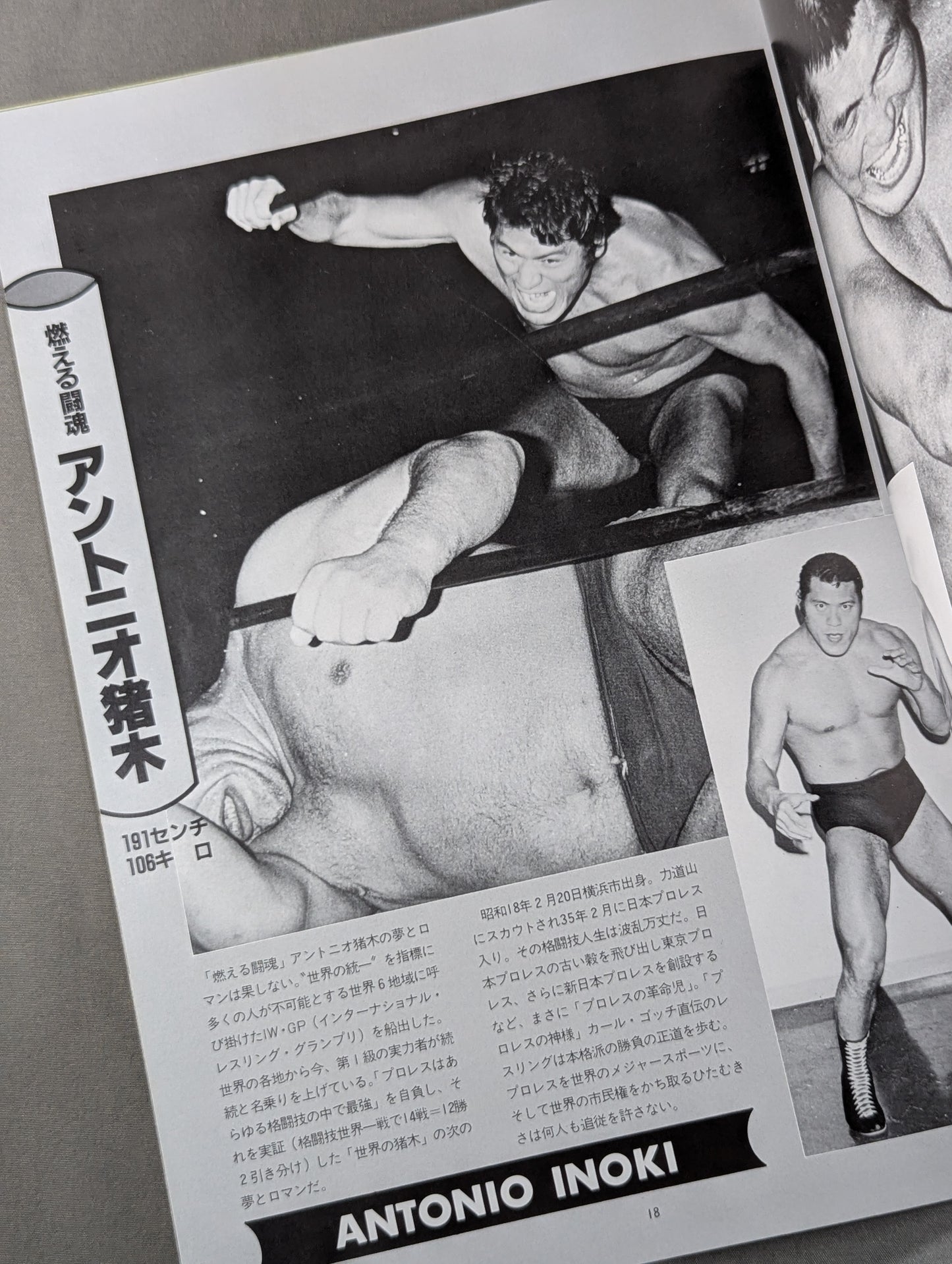 ★ランバージャックデスマッチ★ THE WRESTLER 闘魂シリーズ Vol.4