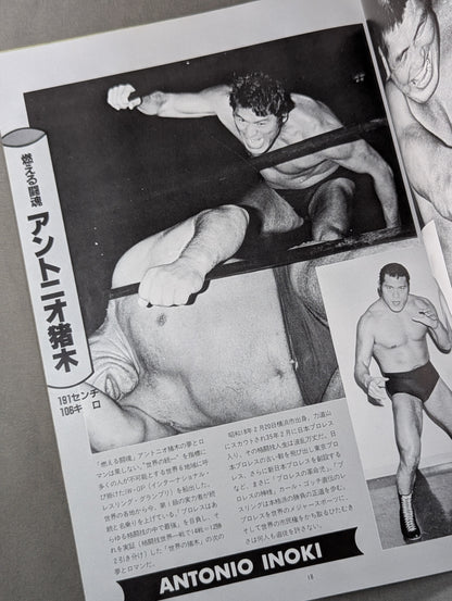 ★ランバージャックデスマッチ★ THE WRESTLER 闘魂シリーズ Vol.4