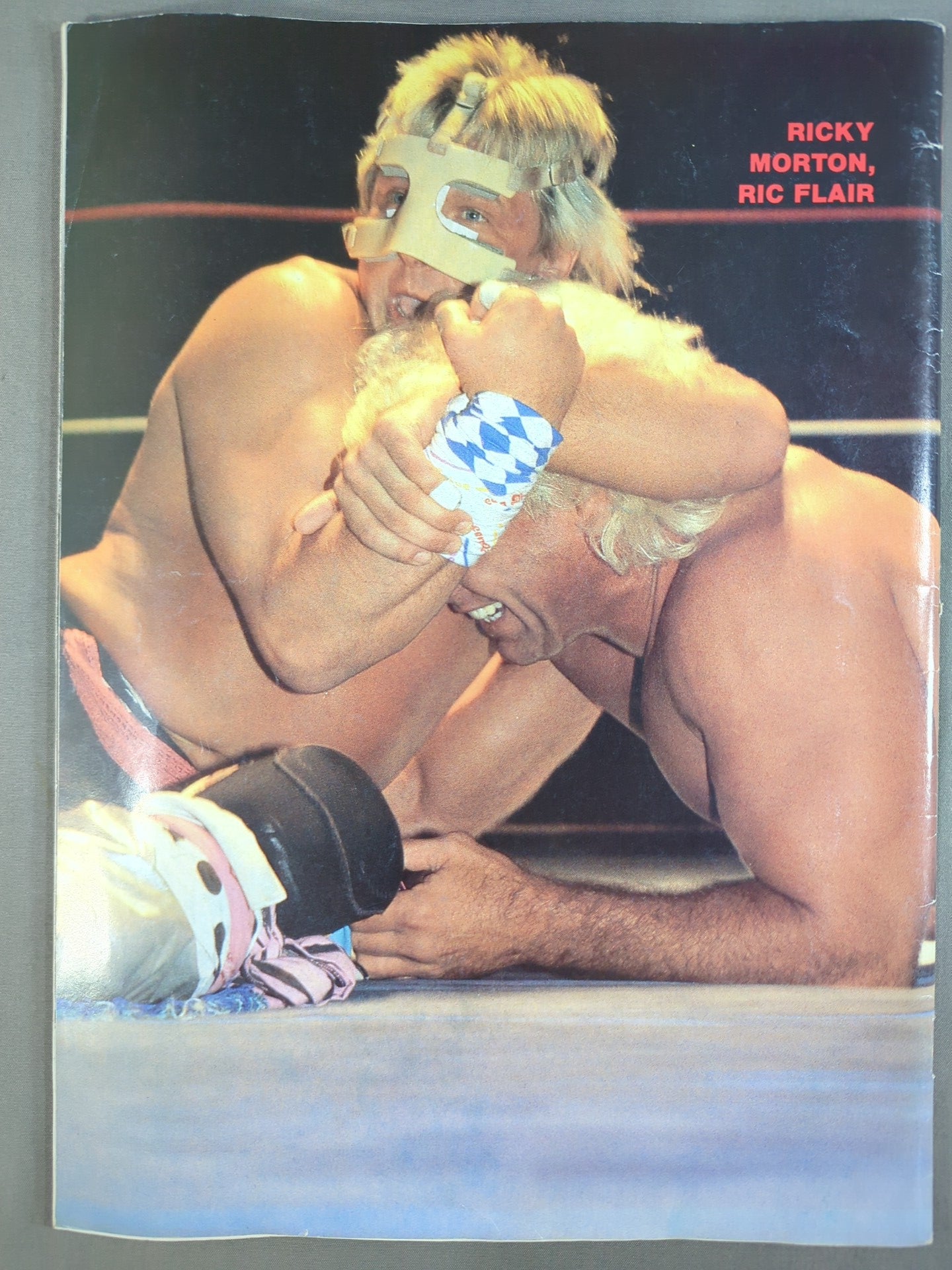 SUPERSTAR WRESTLER PHOTO ALBUM