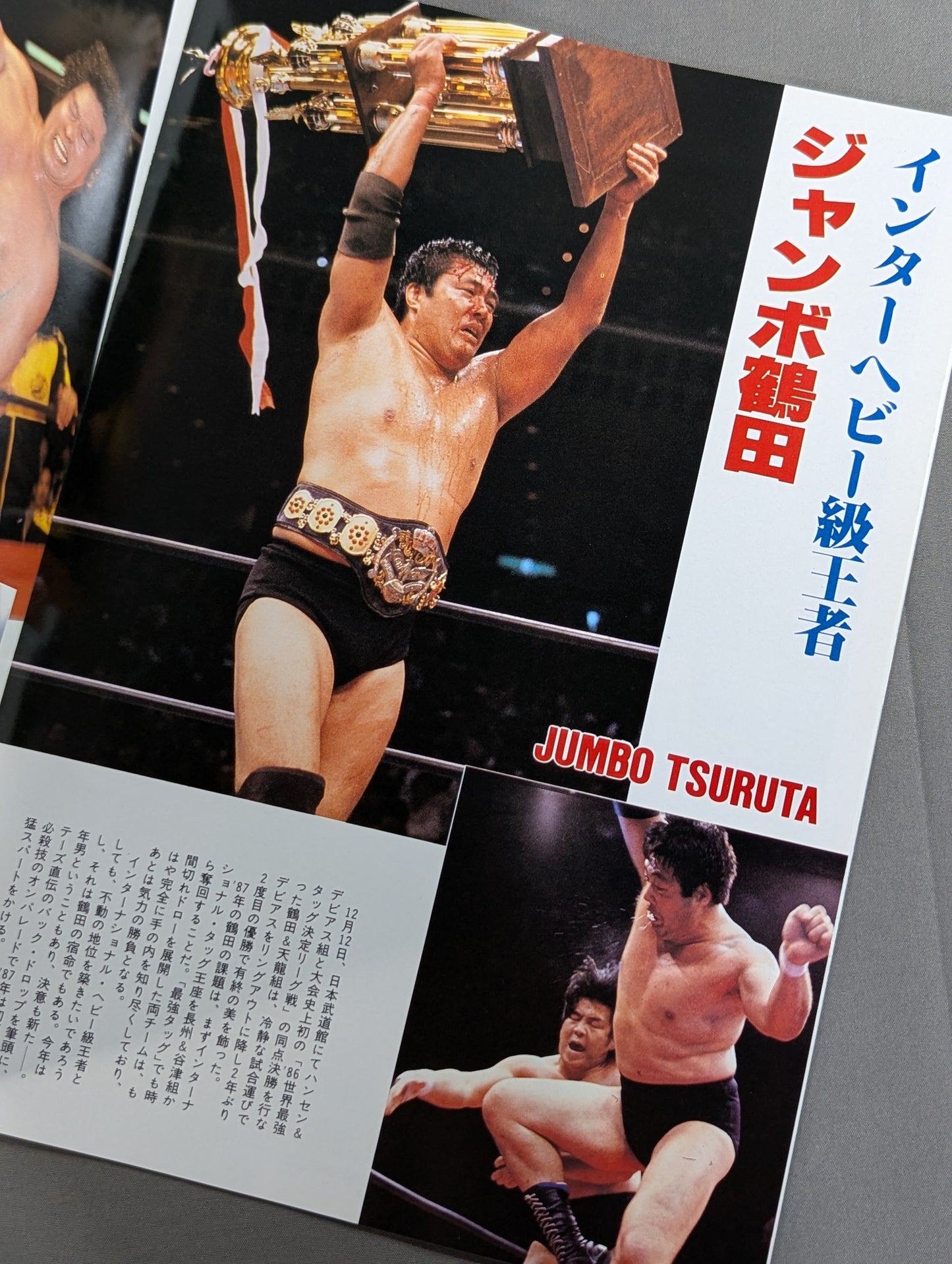 15th Anniversary 87 New Year Giant Series