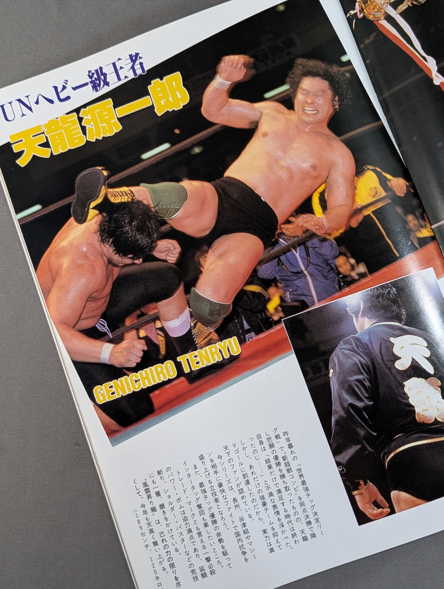 15th Anniversary 87 New Year Giant Series