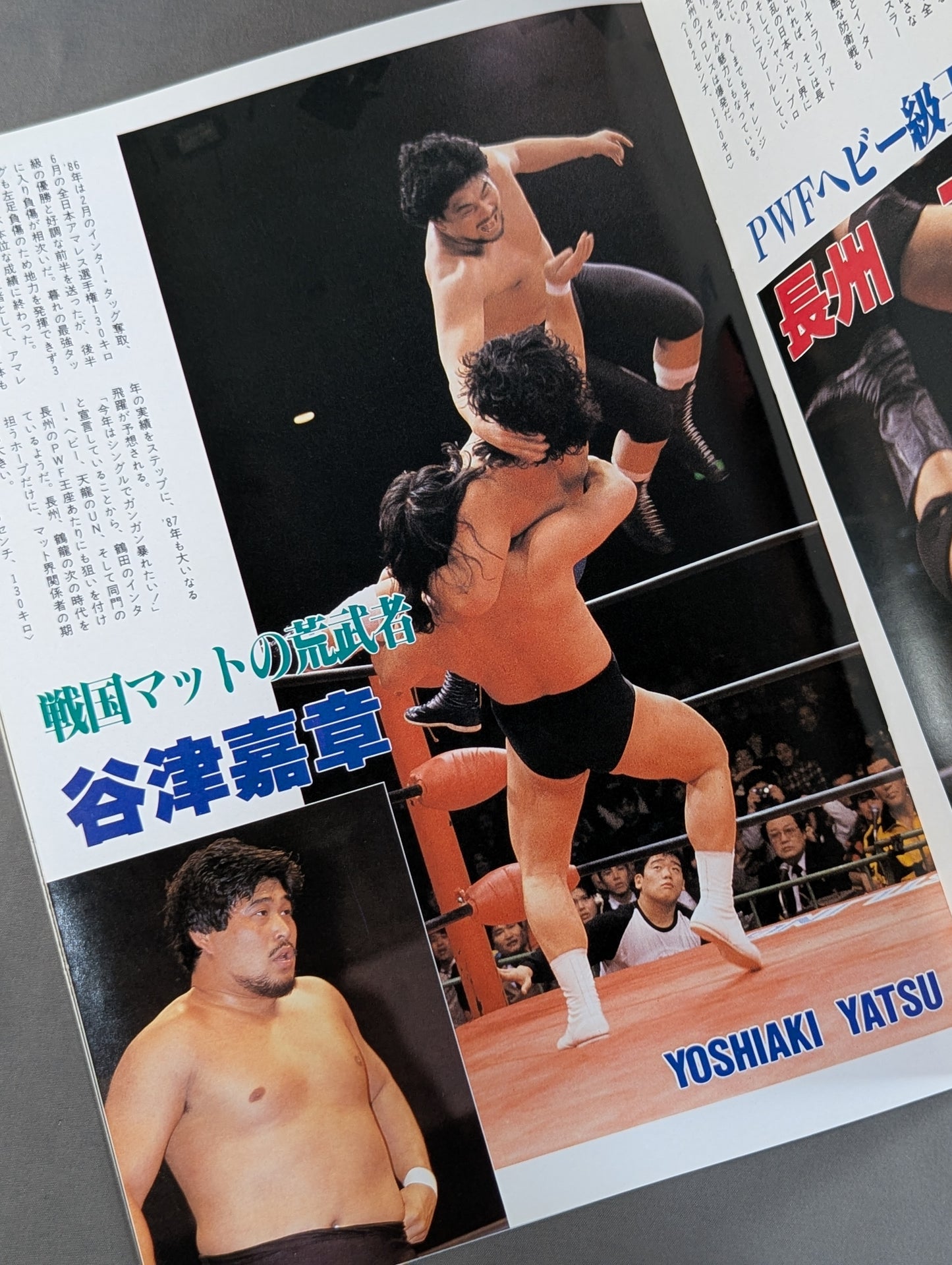15th Anniversary 87 New Year Giant Series