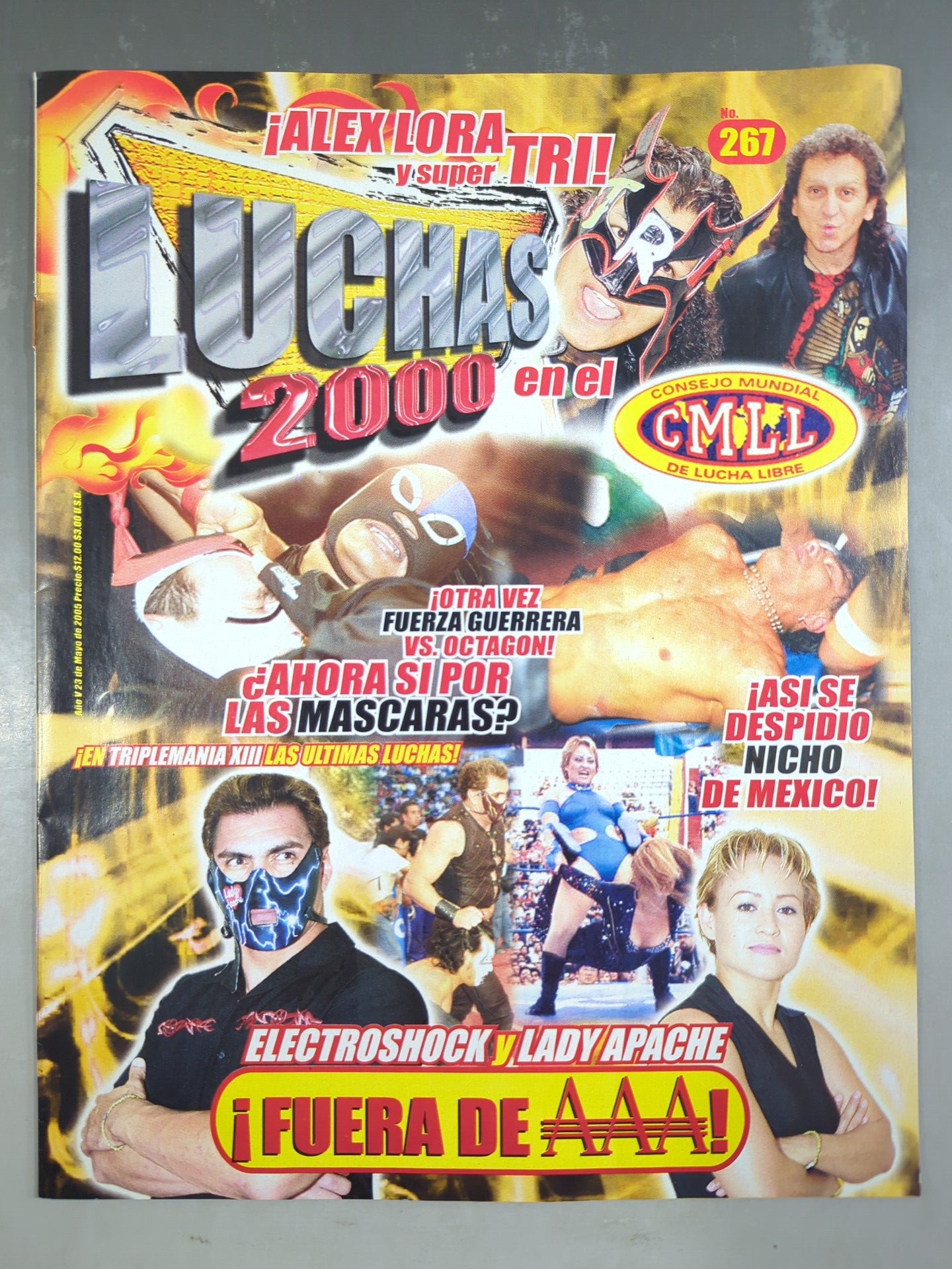 海外プロレス – 闘道館