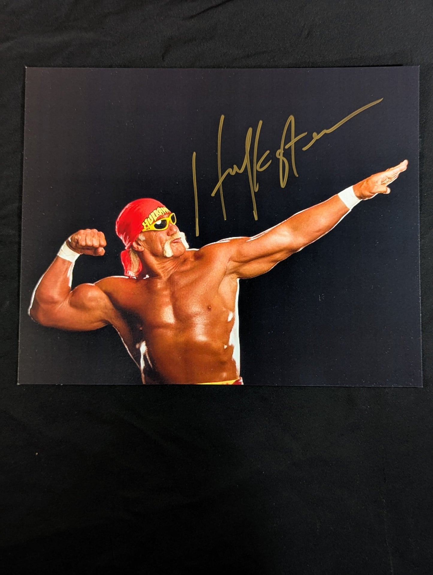 Hulk Hogan  hand signed autograph Pro-Photo 