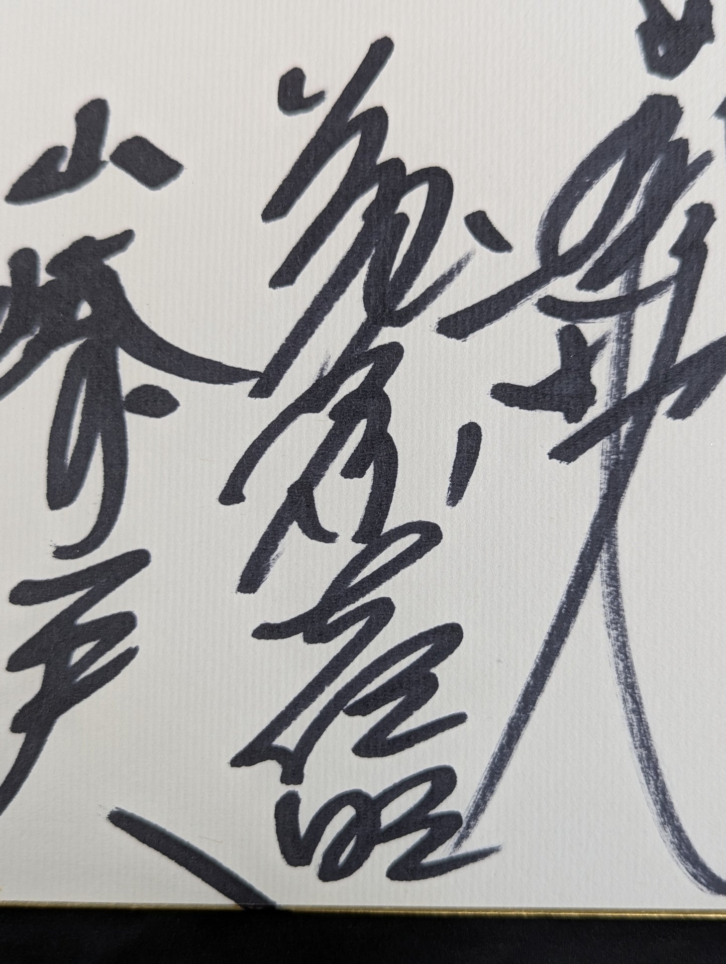 ★新日提携時代★ UWF戦士 寄せ書き(専用色紙)