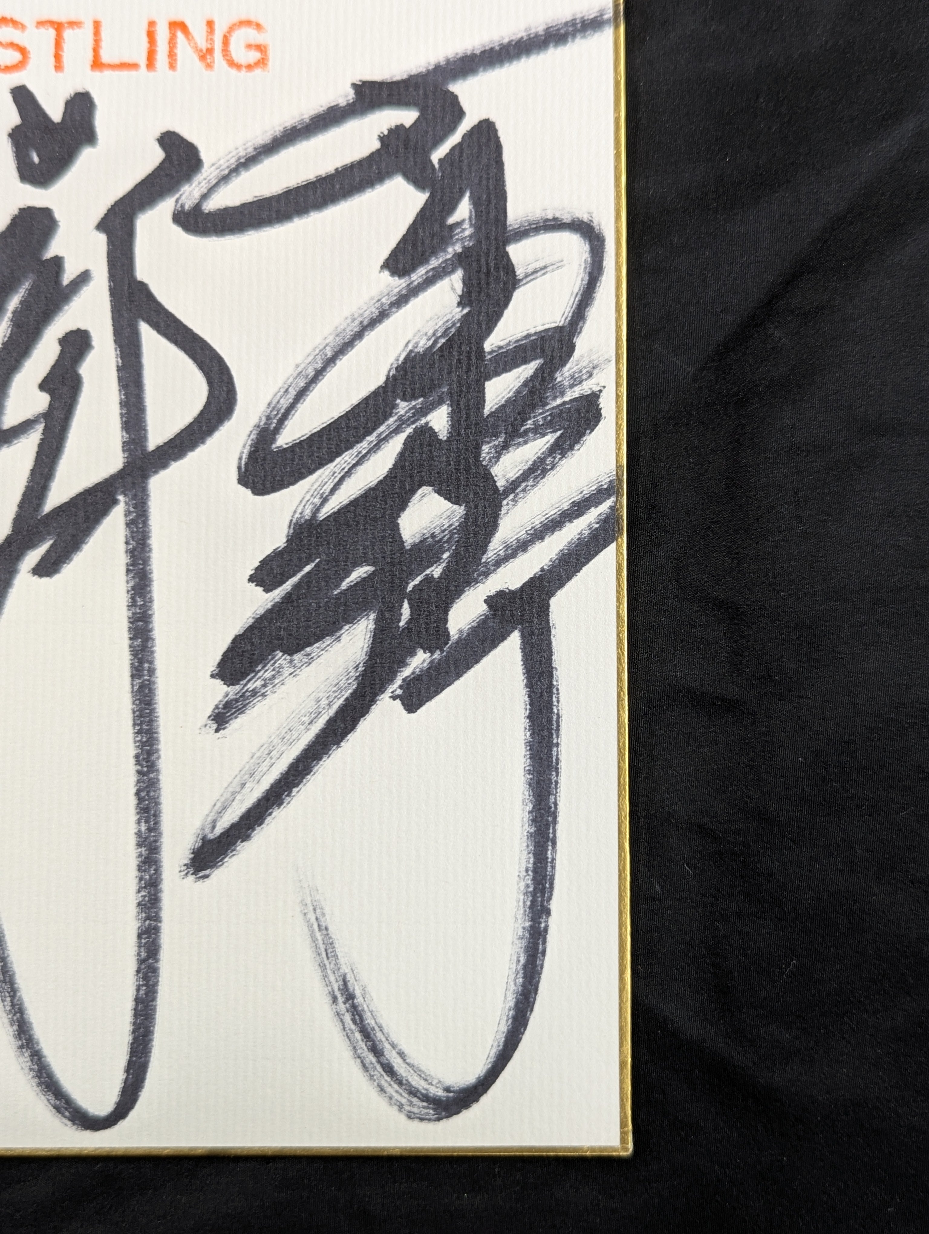 UWF 5選手　寄せ書きサイン色紙 ☆新日提携時代☆ UWF戦士 寄せ書き(専用色紙) – 闘道館