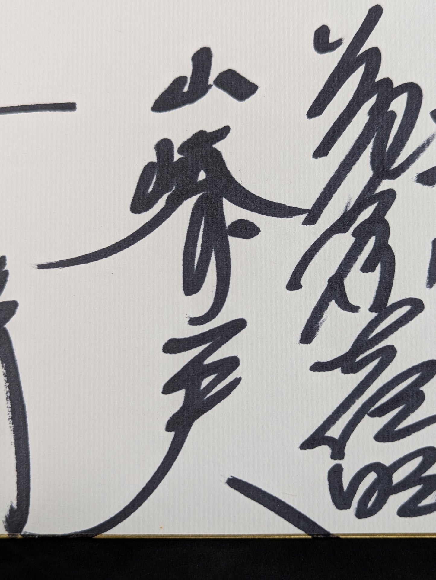 ★新日提携時代★ UWF戦士 寄せ書き(専用色紙)