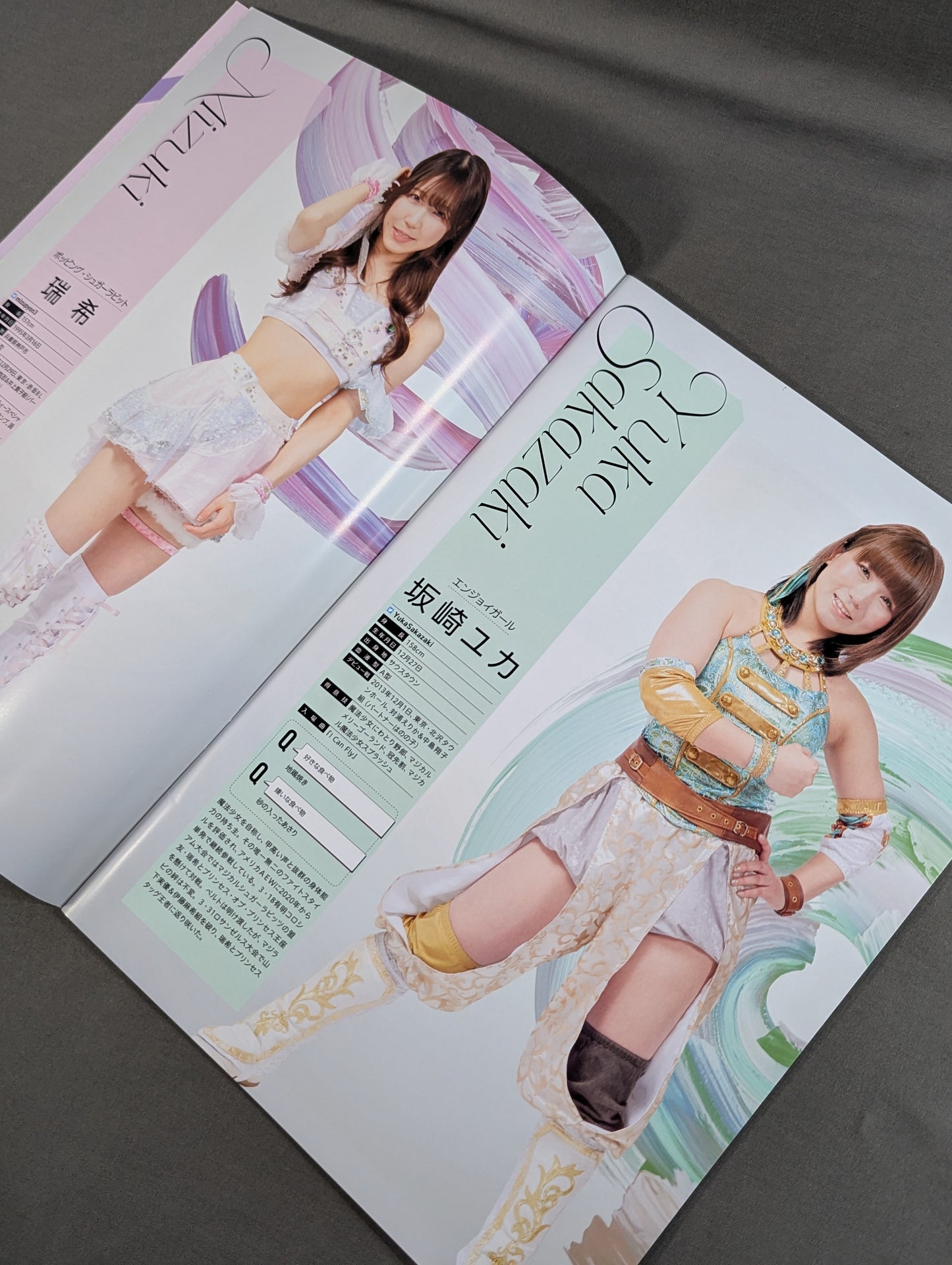 Tokyo Joshi Pro Wrestling  Official Program TJPW Vol.19