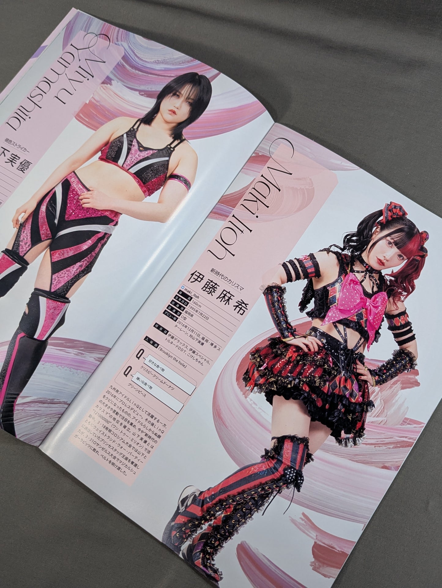 Tokyo Joshi Pro Wrestling  Official Program TJPW Vol.19