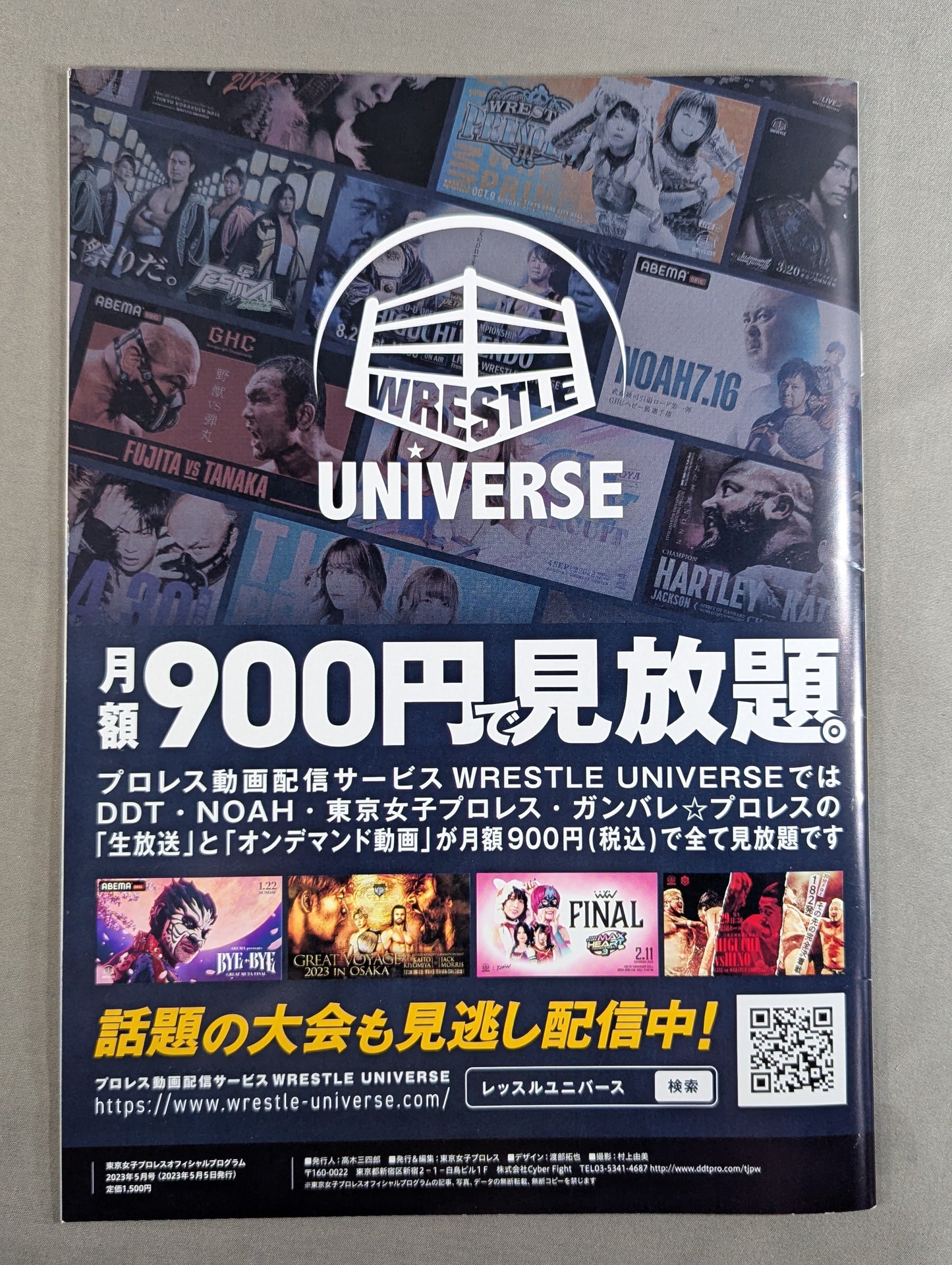 Tokyo Joshi Pro Wrestling  Official Program TJPW Vol.19