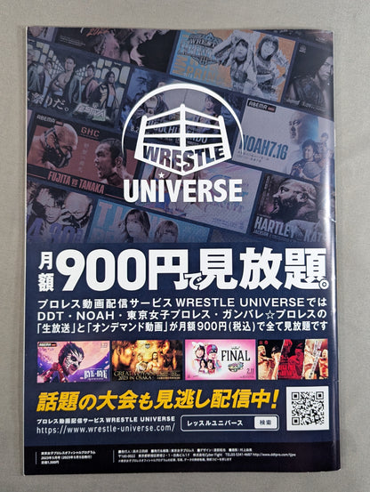 Tokyo Joshi Pro Wrestling  Official Program TJPW Vol.19