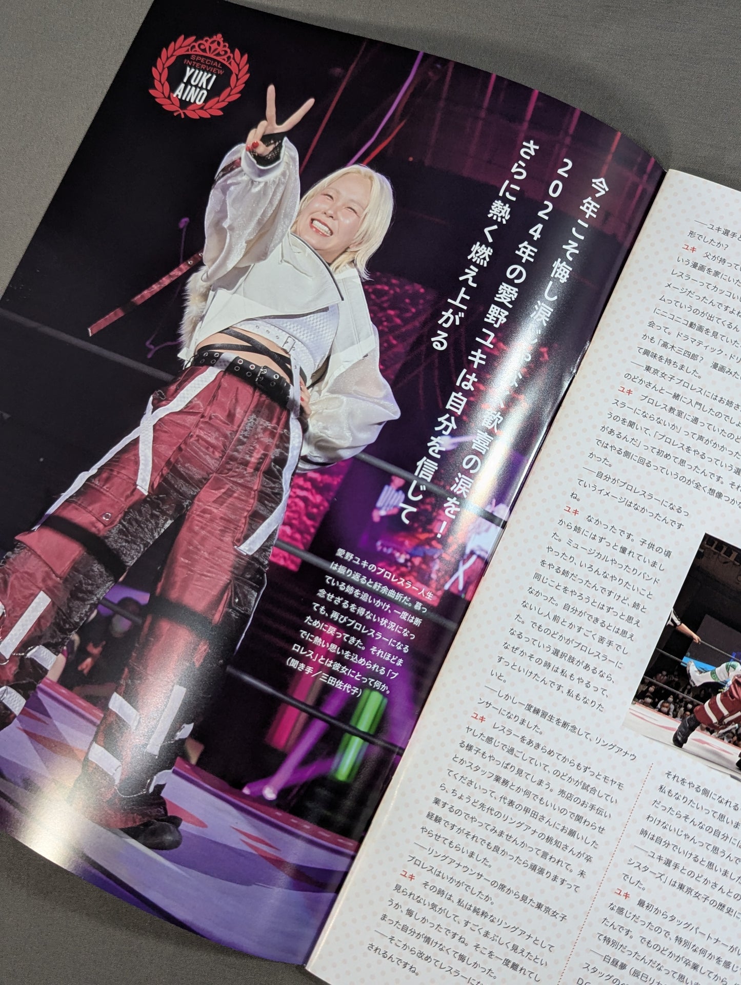 [Rika Tatsumi  hand signed autograph ] Tokyo Joshi Pro Wrestling Official Program TJPW Vol.21