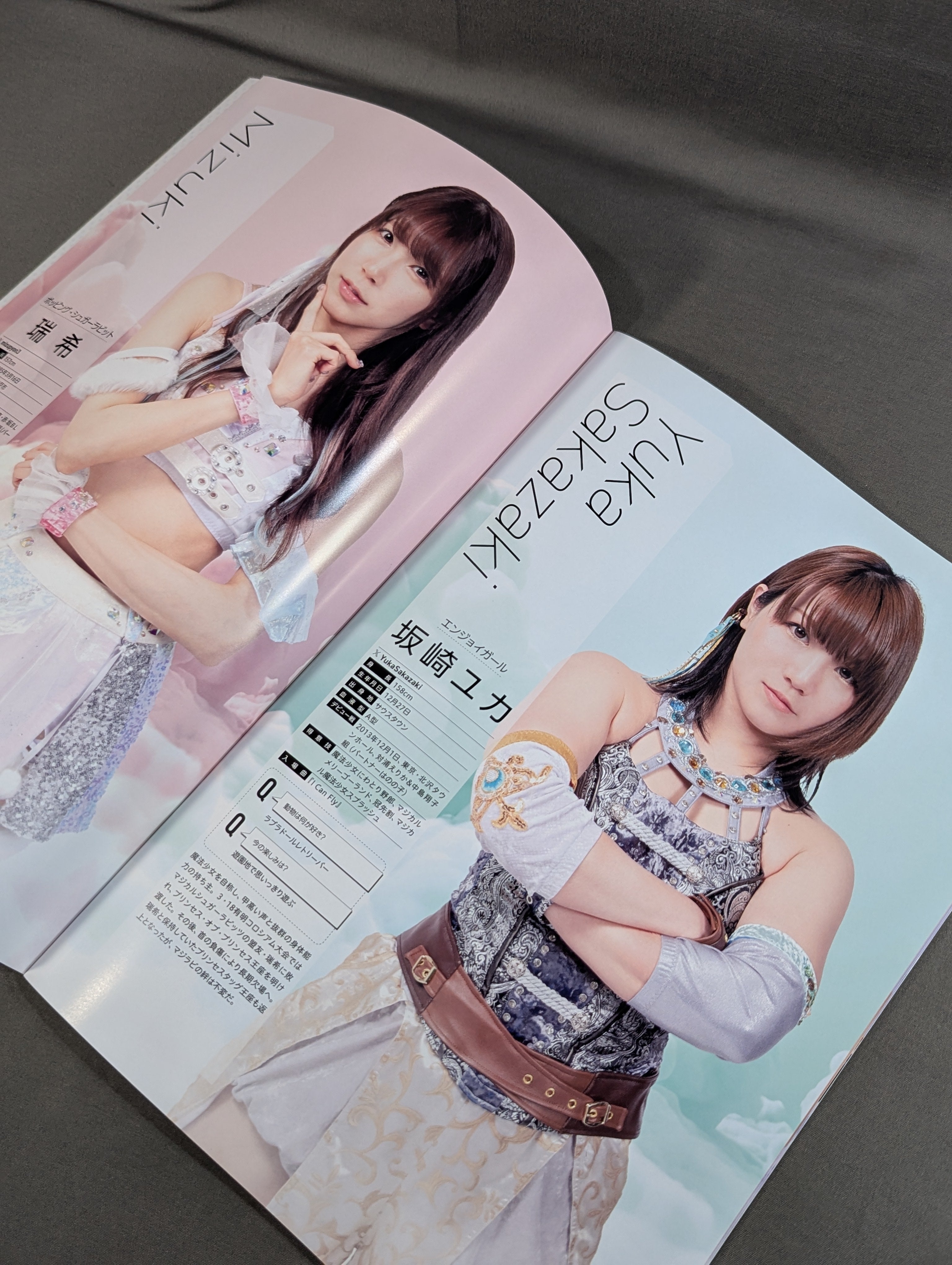 乃蒼ヒカリ 直筆サイン入り】東京女子プロレス オフィシャルプログラム