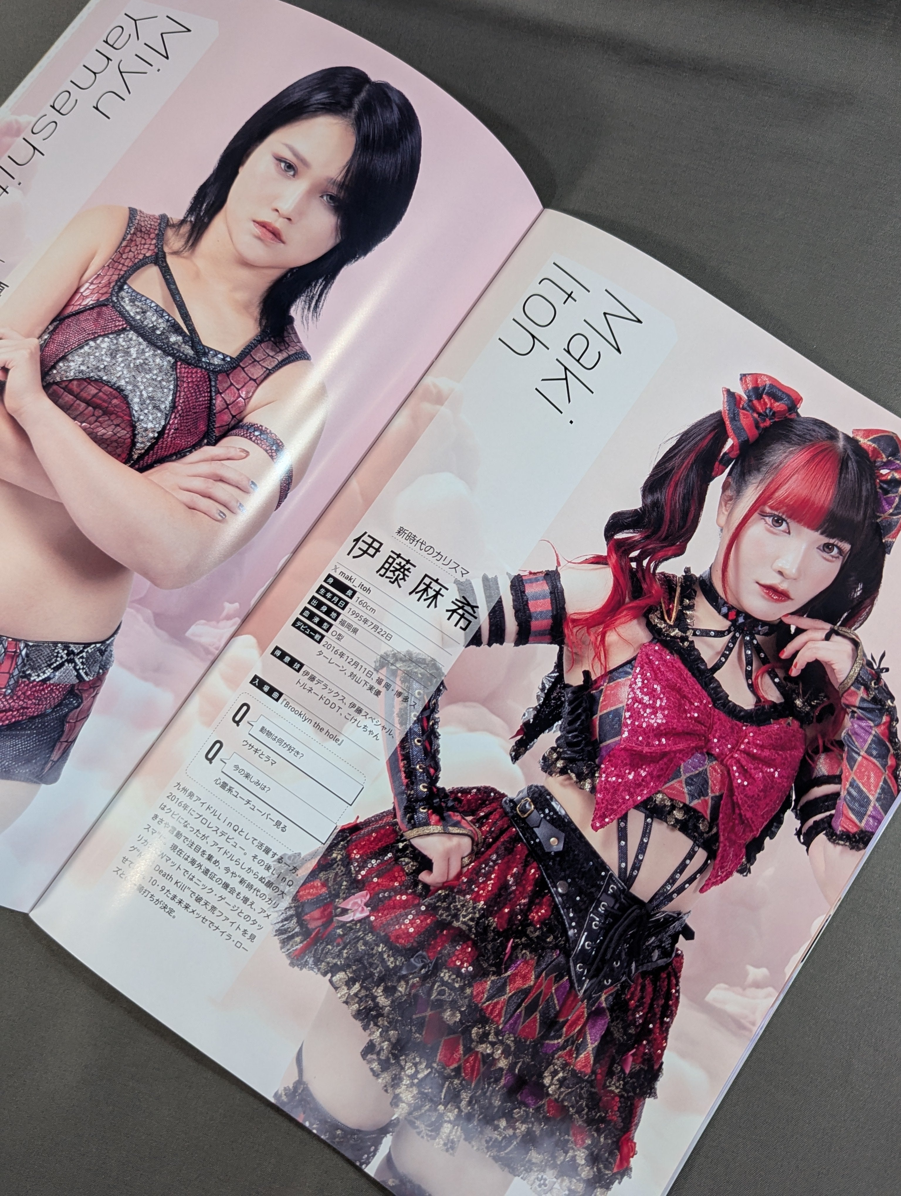 乃蒼ヒカリ 直筆サイン入り】東京女子プロレス オフィシャルプログラム
