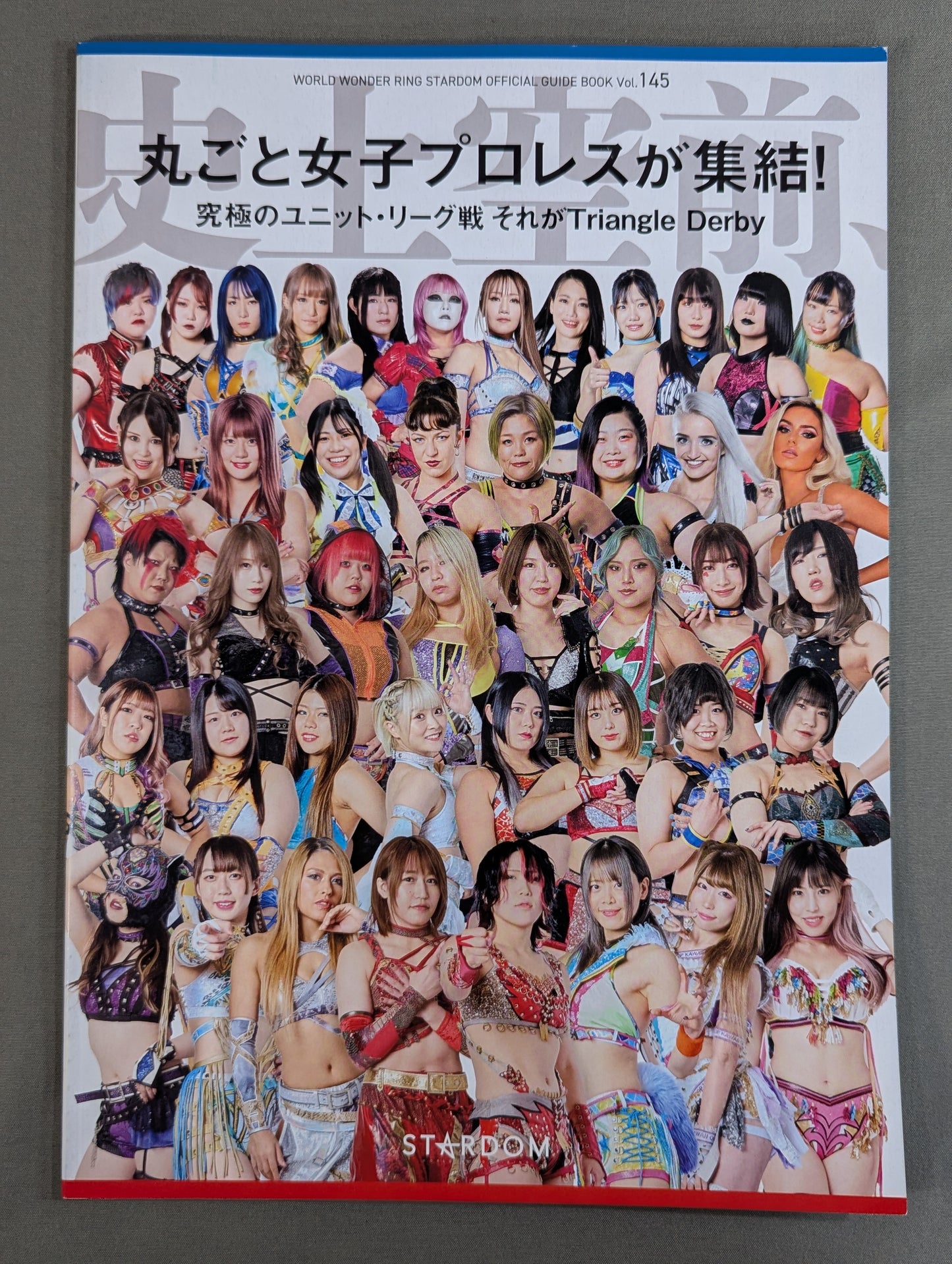 STARDOM OFFICIAL GUIDE BOOK Vol.145