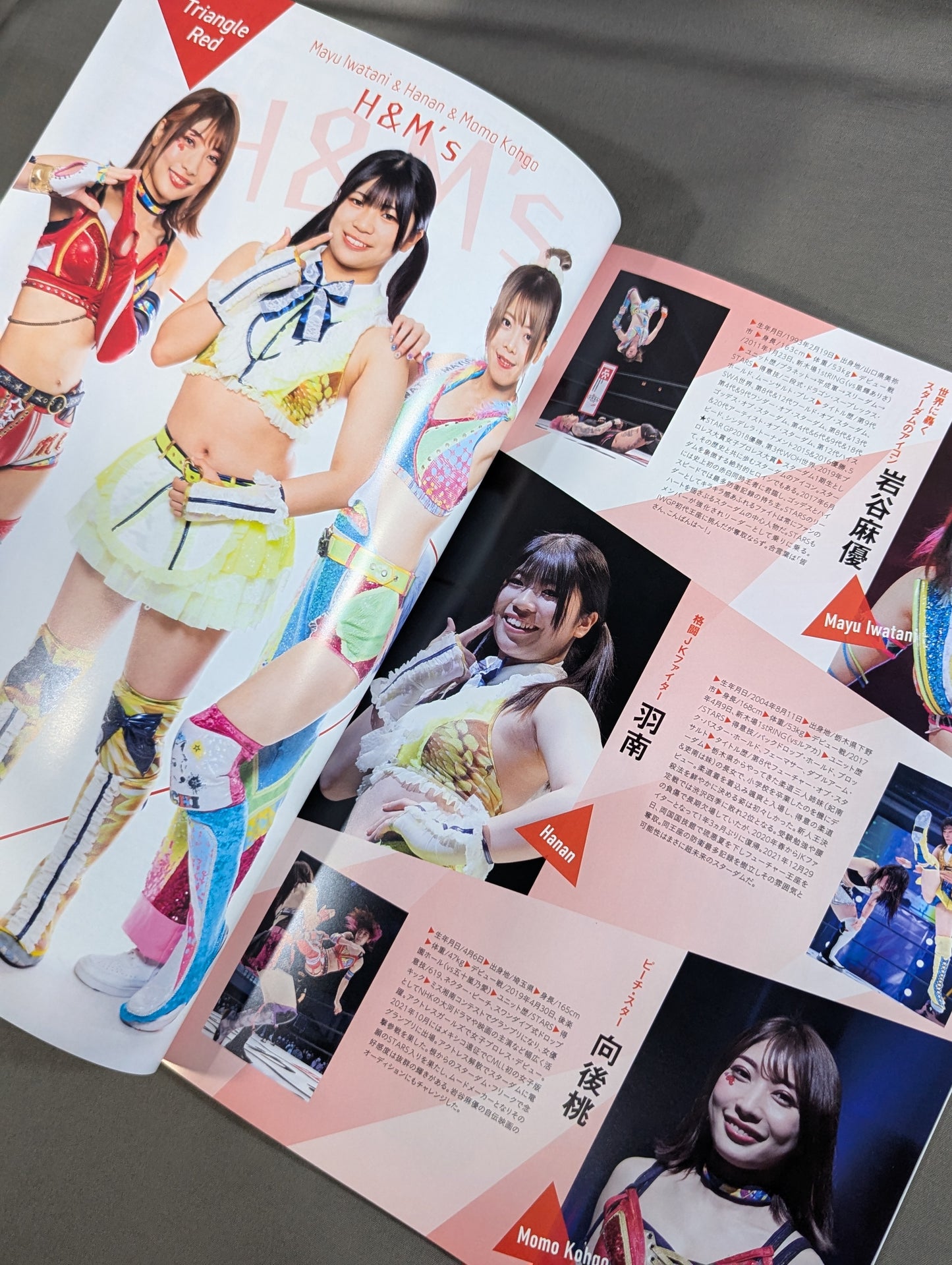 STARDOM OFFICIAL GUIDE BOOK Vol.145