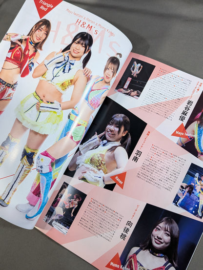 STARDOM OFFICIAL GUIDE BOOK Vol.145
