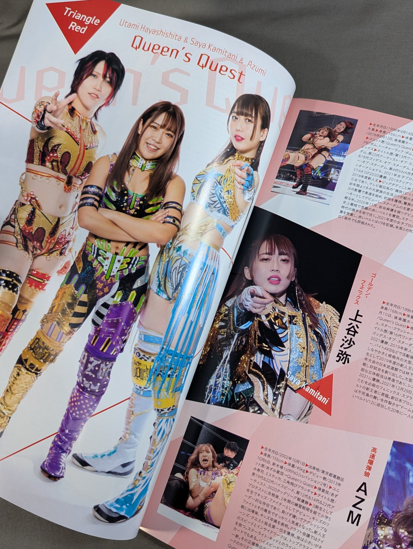 STARDOM OFFICIAL GUIDE BOOK Vol.145