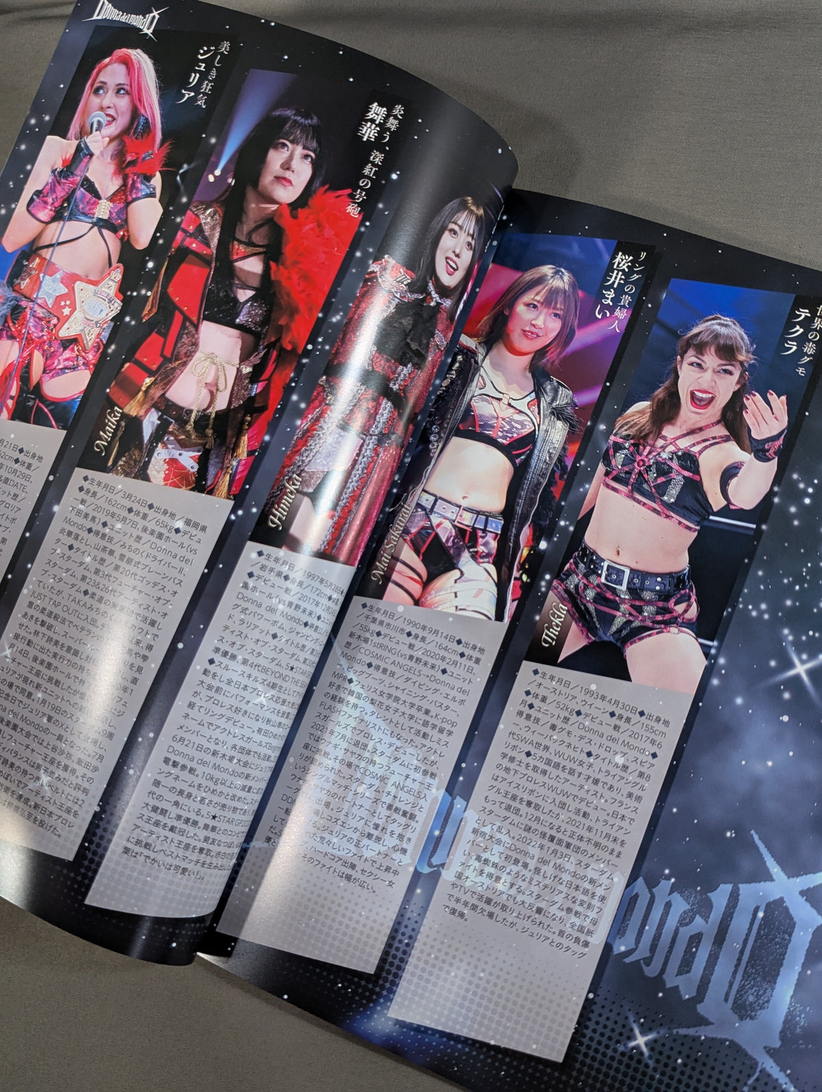 STARDOM OFFICIAL GUIDE BOOK Vol.146
