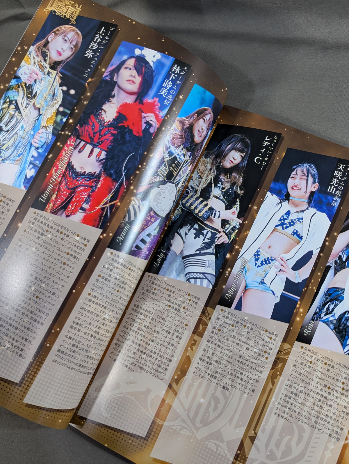 STARDOM OFFICIAL GUIDE BOOK Vol.146