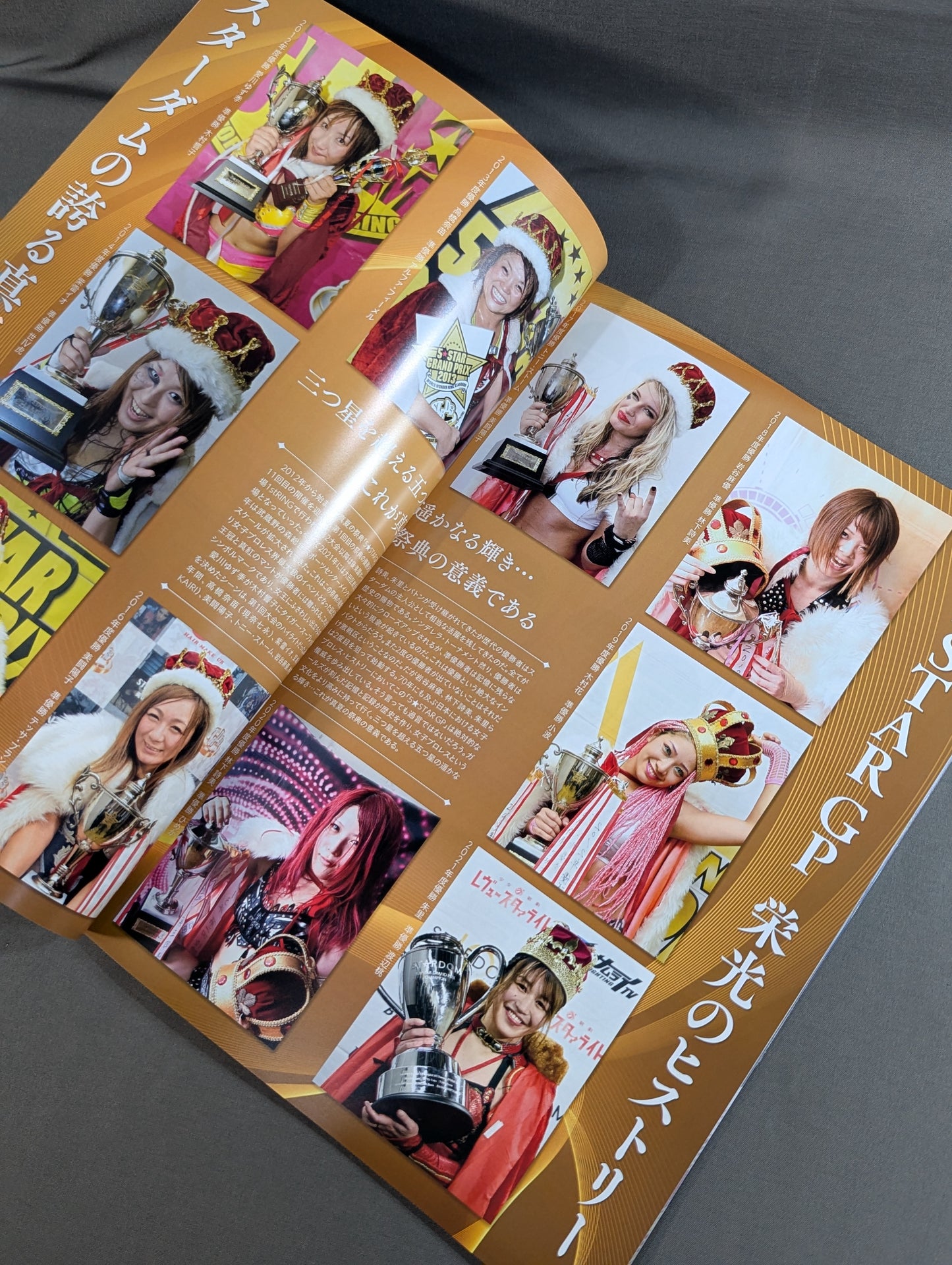 STARDOM OFFICIAL GUIDE BOOK Vol.143
