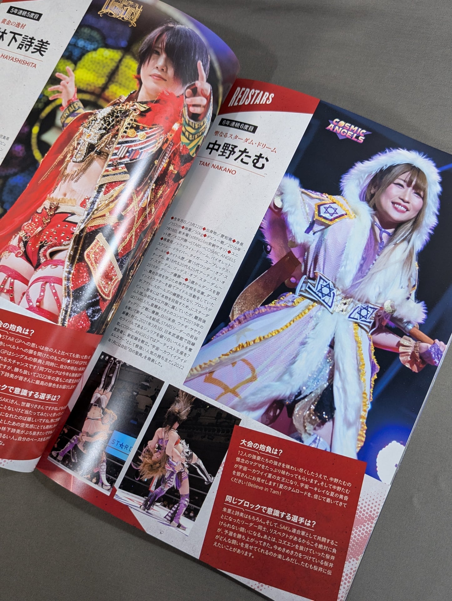 STARDOM OFFICIAL GUIDE BOOK Vol.143