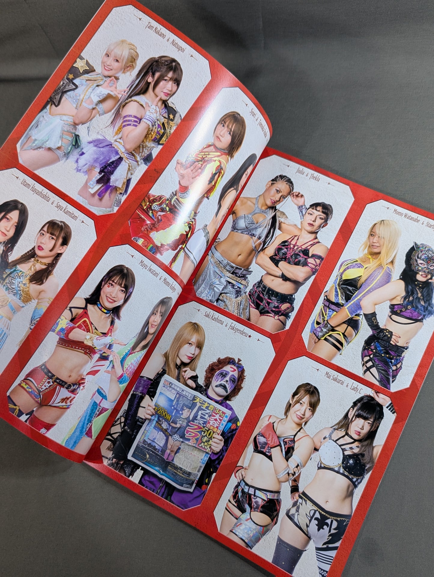 STARDOM OFFICIAL GUIDE BOOK Vol.144