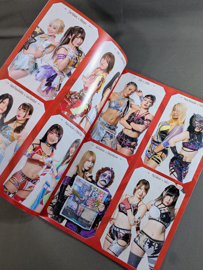 STARDOM OFFICIAL GUIDE BOOK Vol.144