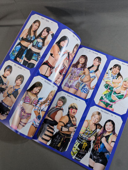 STARDOM OFFICIAL GUIDE BOOK Vol.144