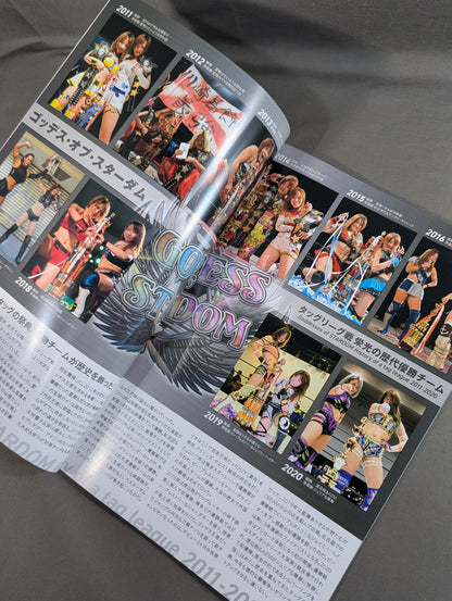 STARDOM OFFICIAL GUIDE BOOK Vol.138