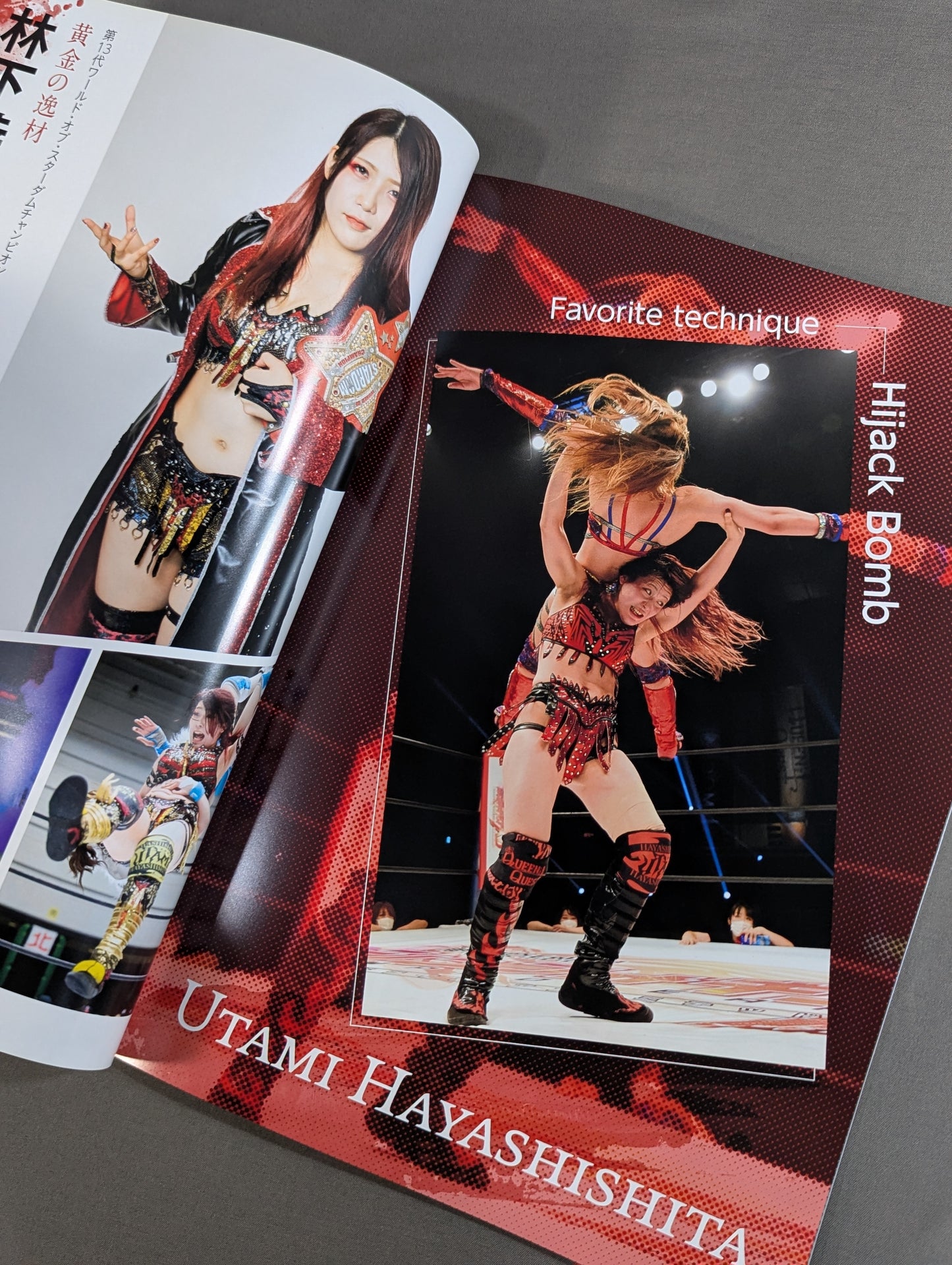 STARDOM OFFICIAL GUIDE BOOK Vol.138