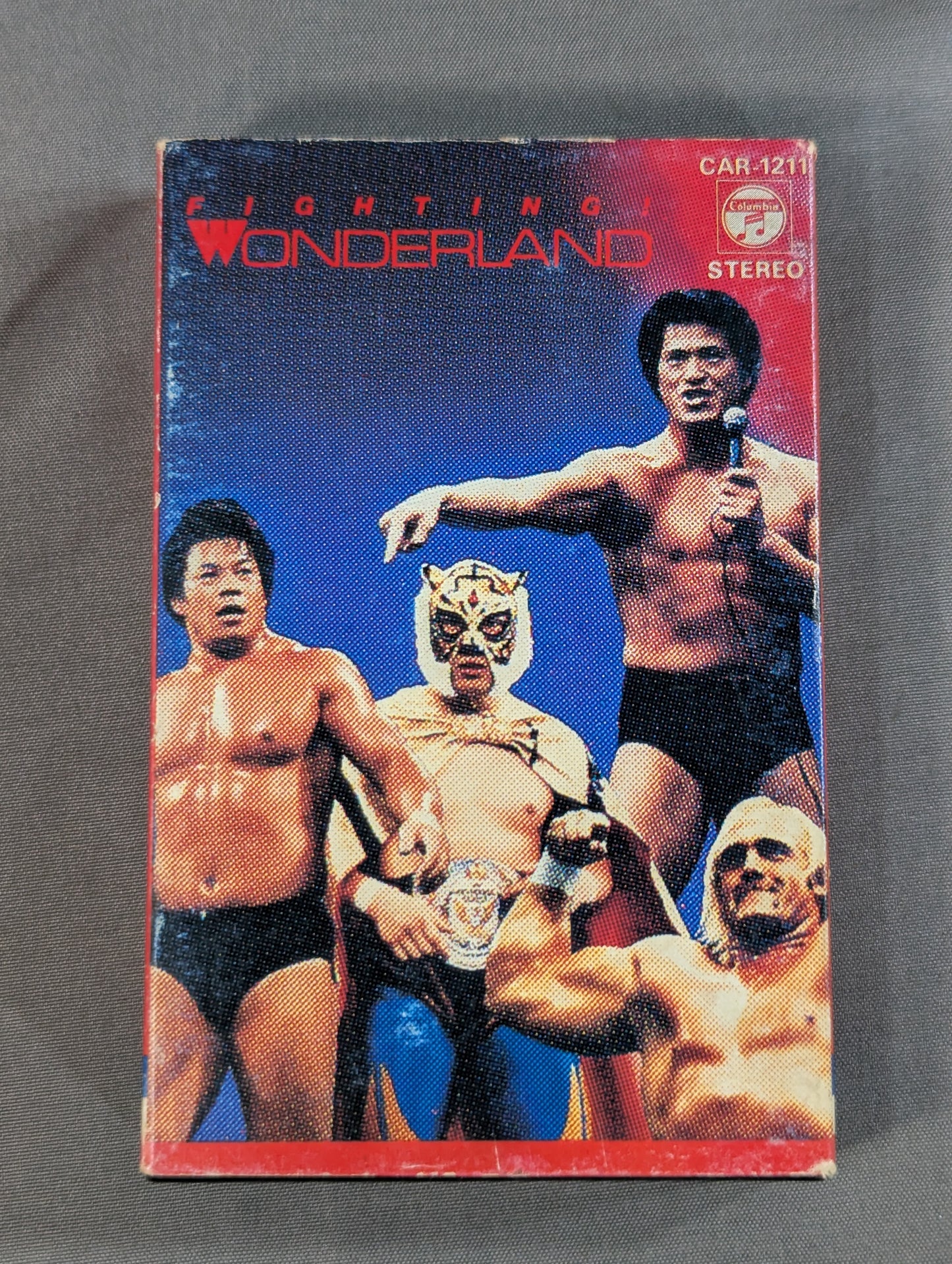 プロレス・ファイティング・ライブ 闘いのワンダーランド
