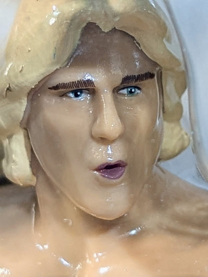 Ric Flair (LJN type)