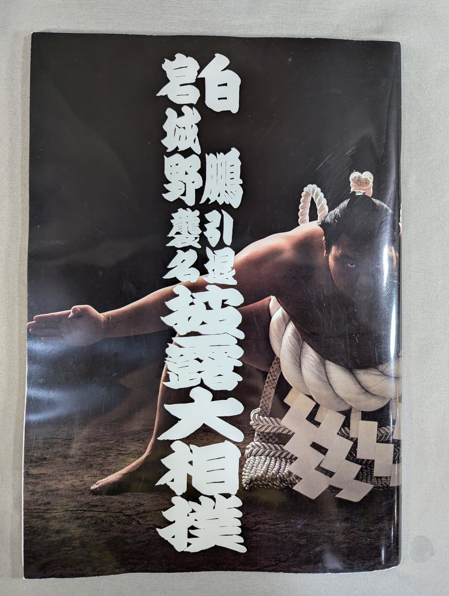 Hakuho retires and Miyagino succeeds to the name, showcasing his grand sumo