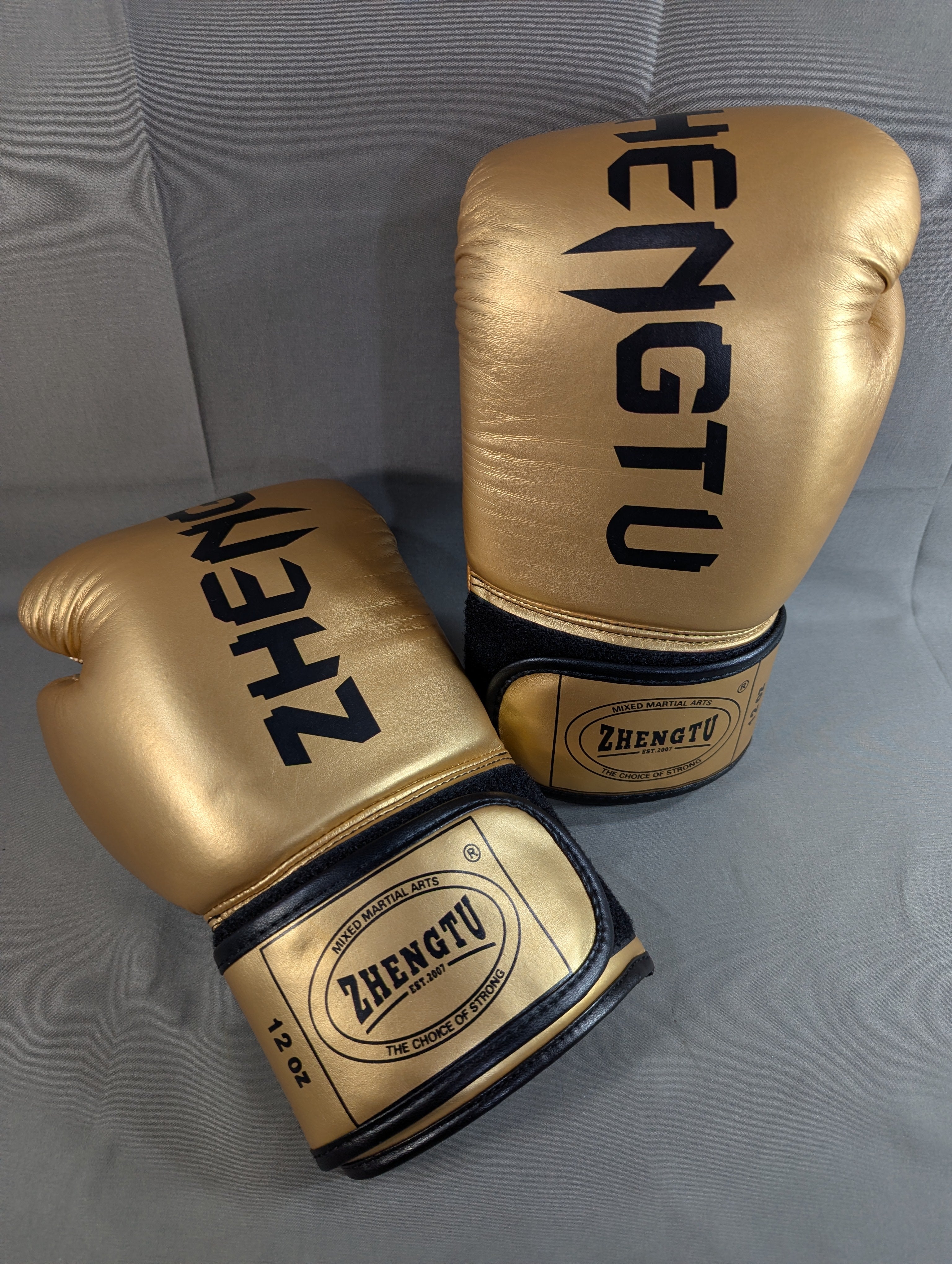 ZHENGTU Boxing Gloves (1) (Gold) – 闘道館