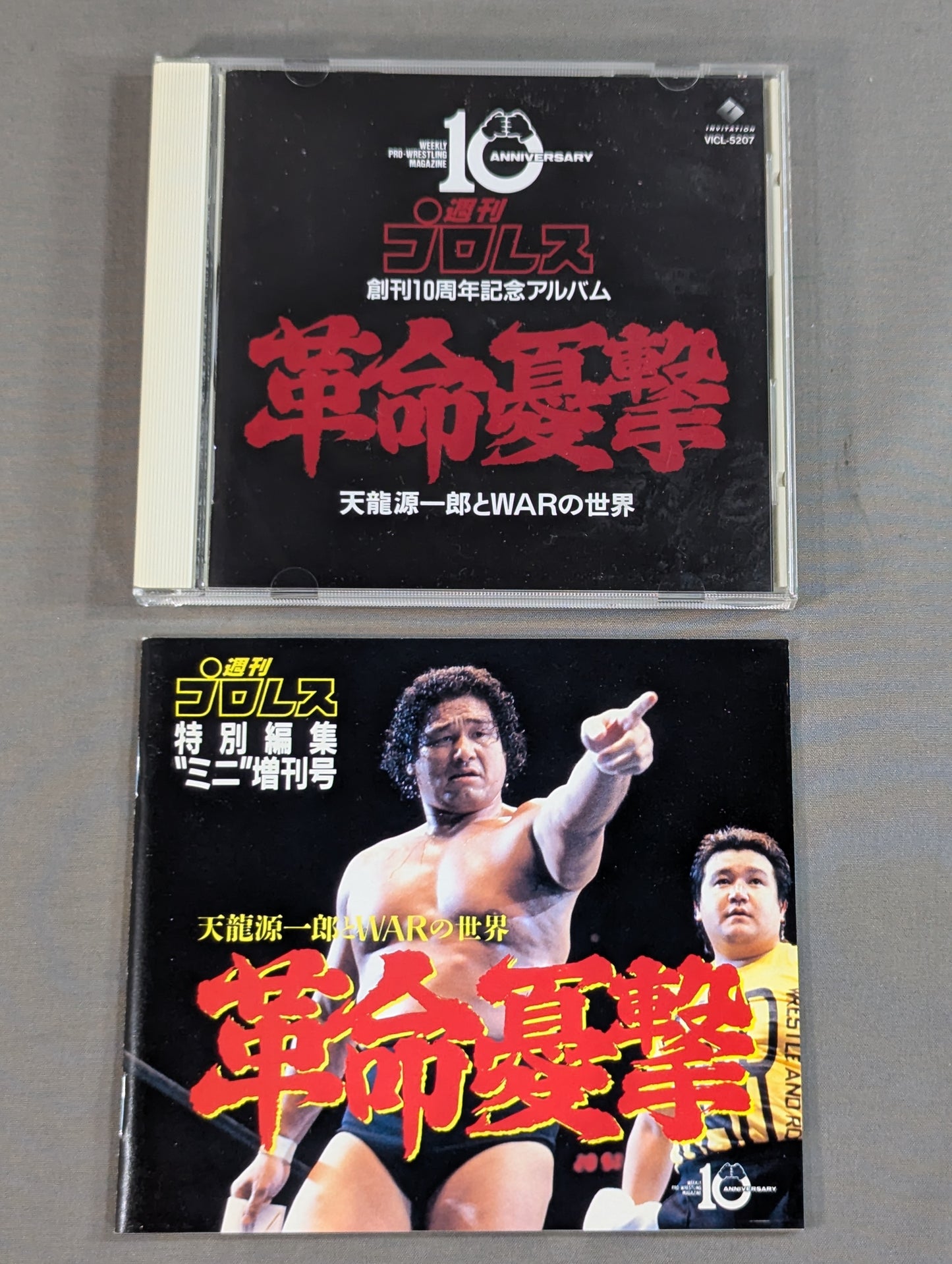 革命憂撃 天龍源一郎とWARの世界