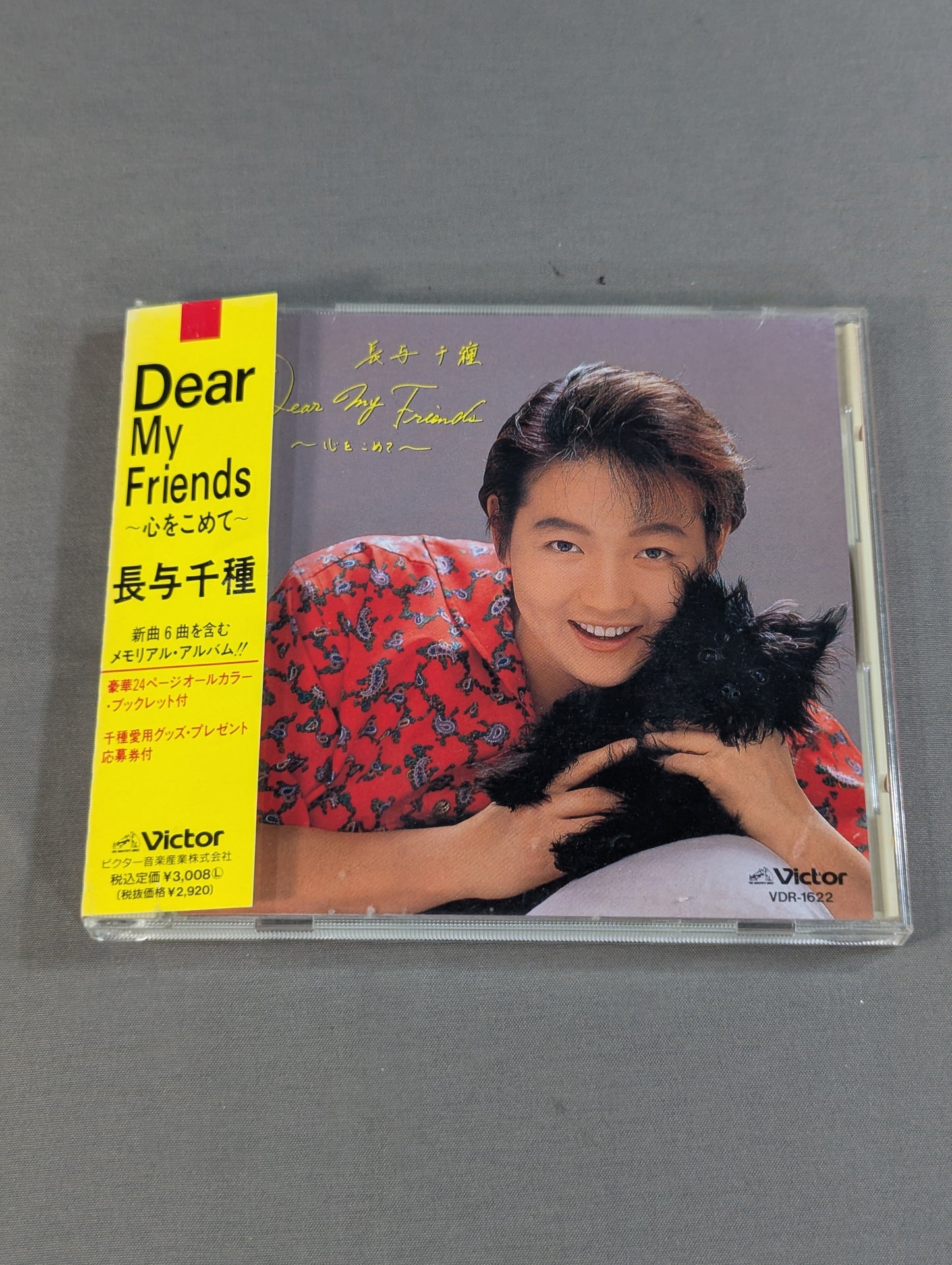 Dear My Friends 心をこめて / 長与千種