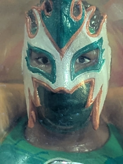 Mushiking Terry