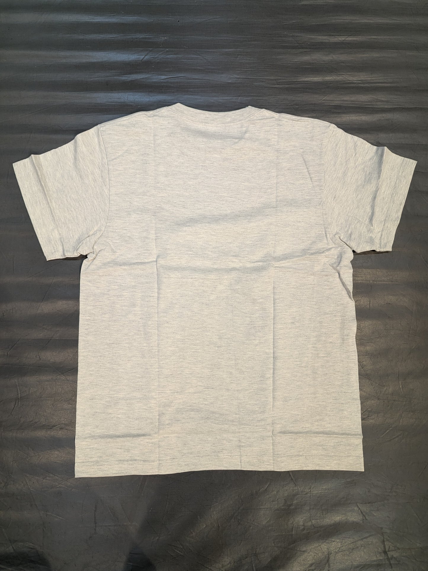 Saori Anou  Illustration T-Shirt (Limited Ver / Gray)