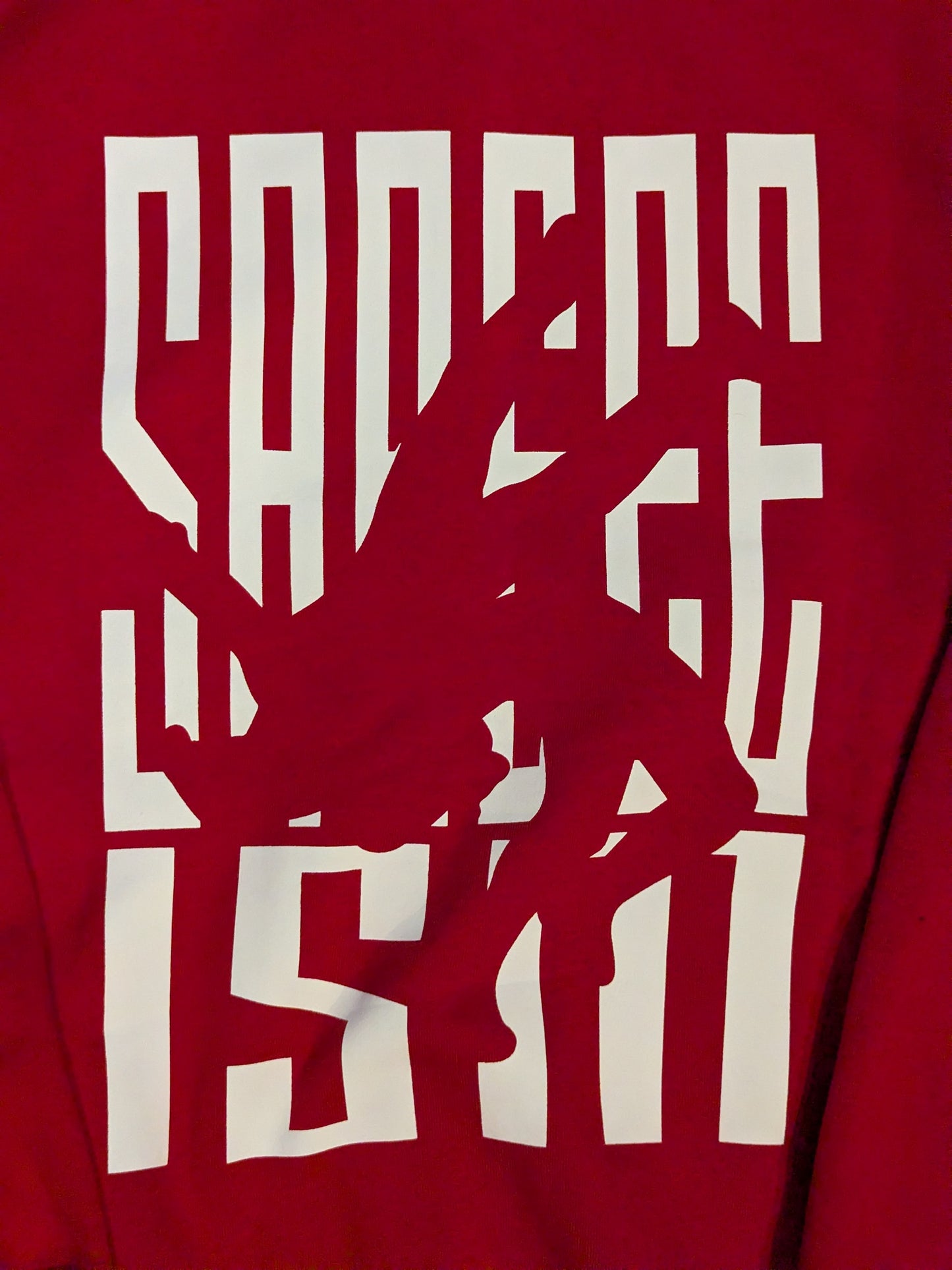 Sareee (SARRAY) "SAREEE ISM" zipper hoodie  (Red)