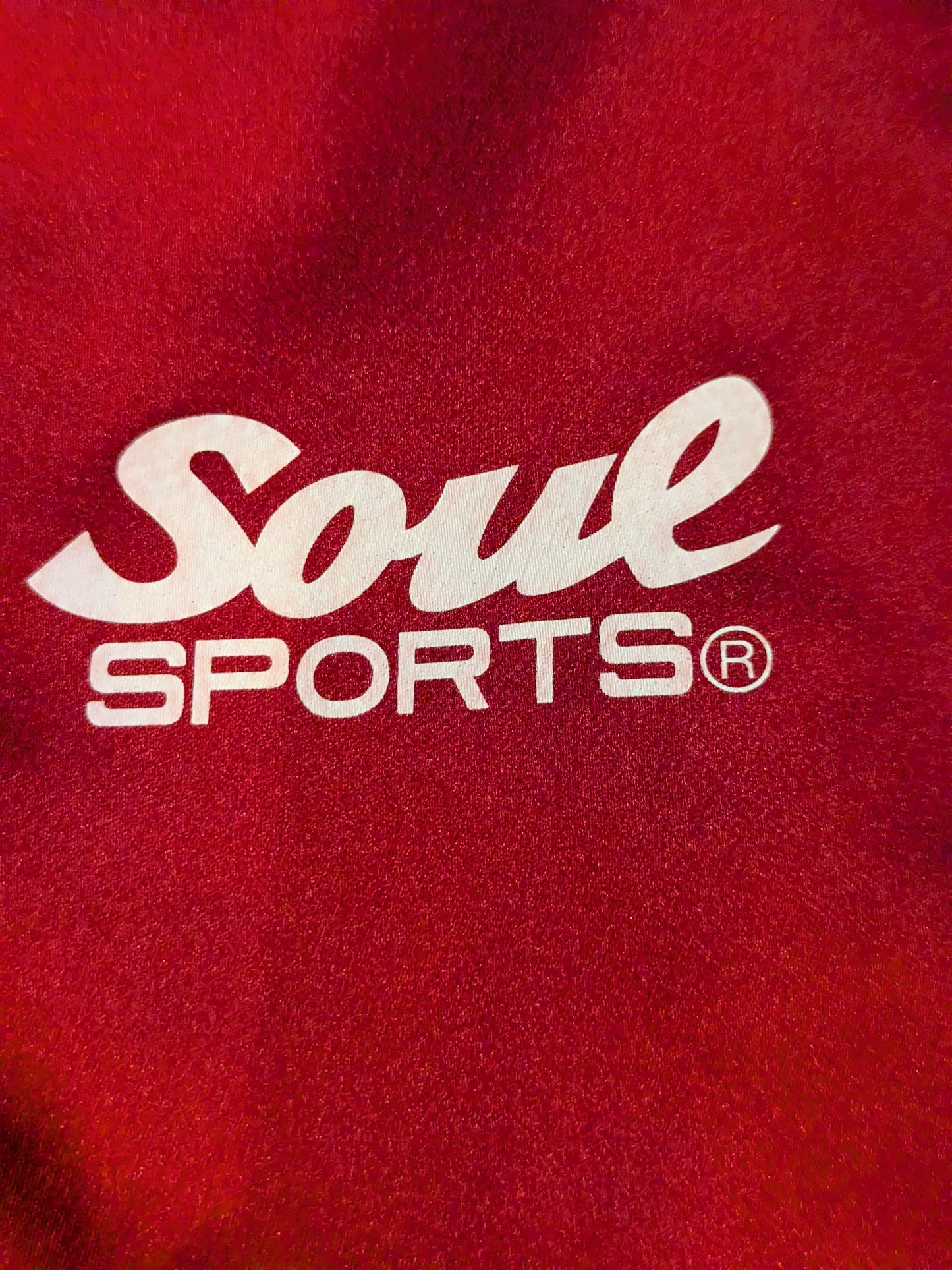 ★ ★ not sold in stores Sareee (SARRAY) ×SOUL "Sareee (SARRAY) ISM Setup Jersey (Red)