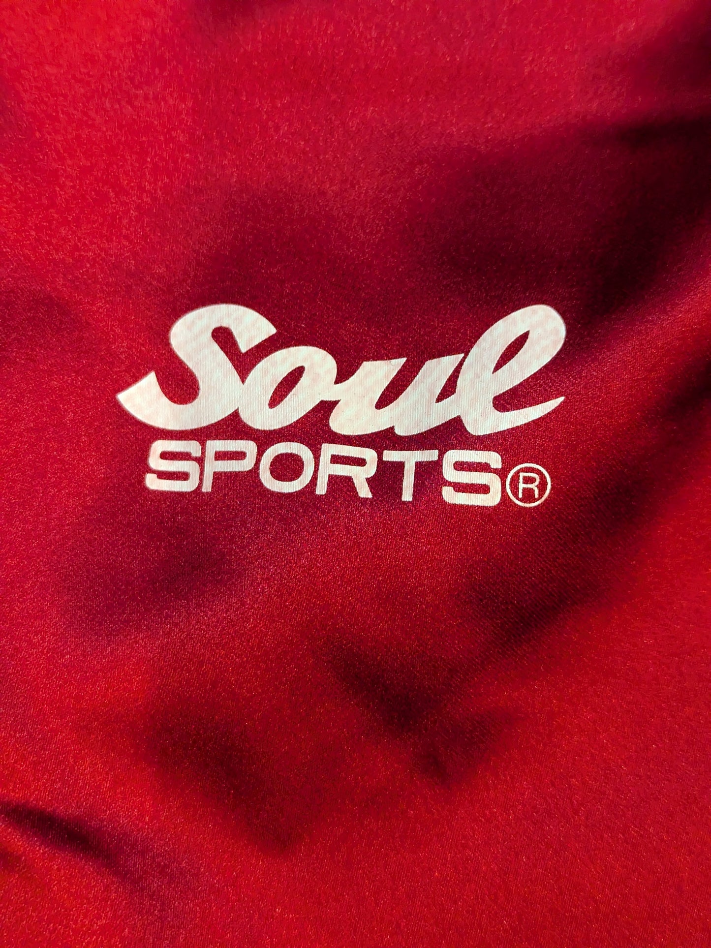 ★ ★ not sold in stores Sareee (SARRAY) ×SOUL "Sareee (SARRAY) ISM Setup Jersey (Red)