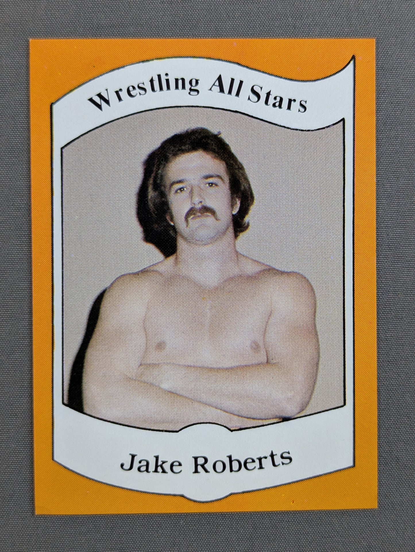★1983 Wrestling ALL STARS Series A★ Jake Roberts