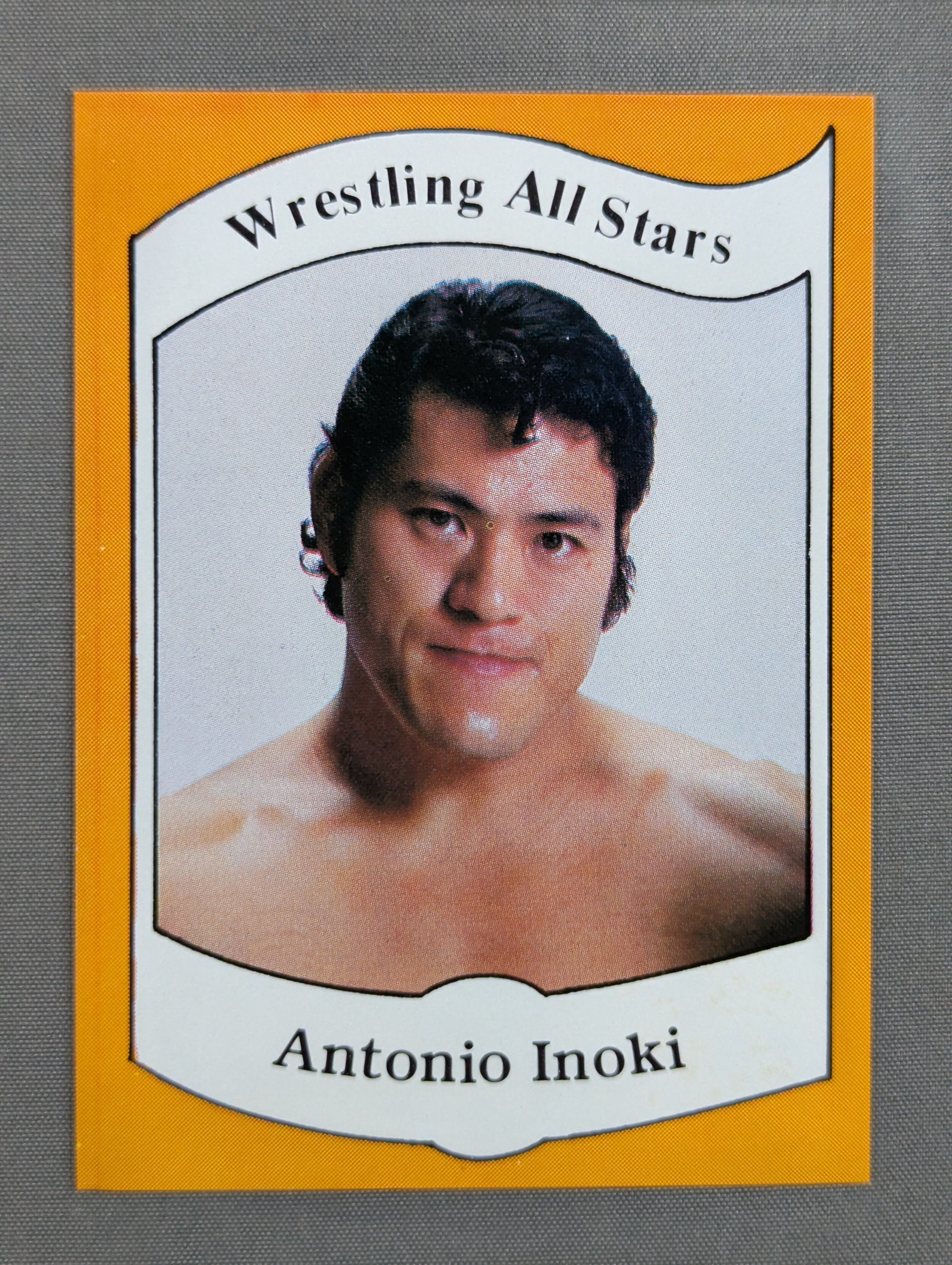 ☆1983 WRESTLING ALL STARS Series A☆ アントニオ猪木 – 闘道館