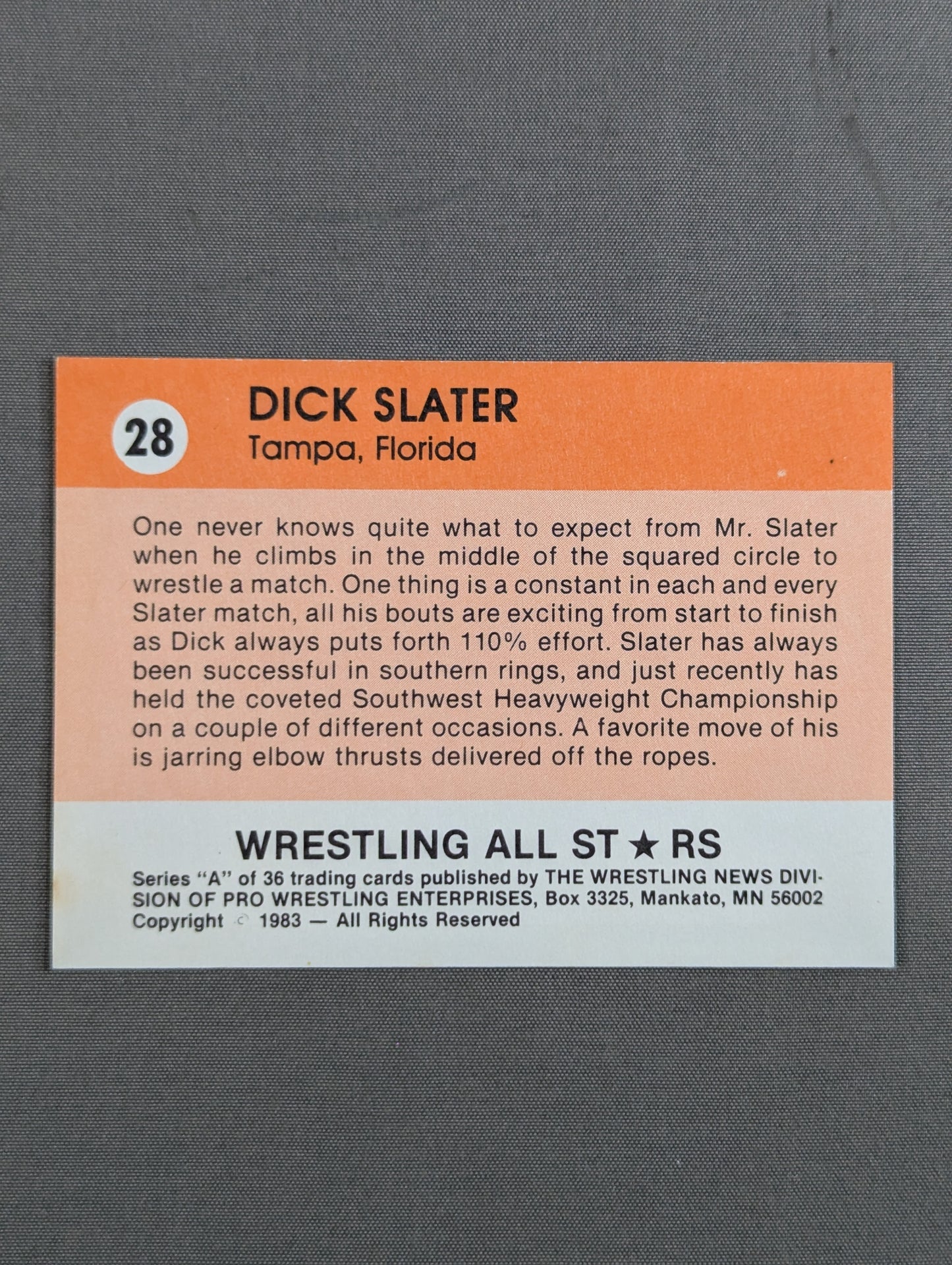 ★1983 WRESTLING ALL STARS Series A★ ディック・スレーター