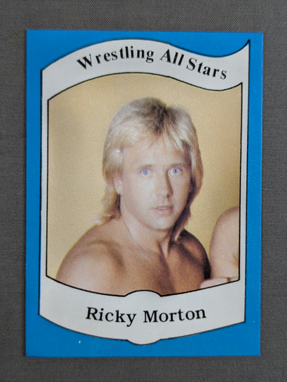★1983 Wrestling ALL STARS Series A★ Ricky Morton 