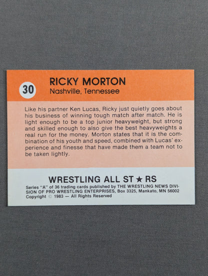 ★1983 Wrestling ALL STARS Series A★ Ricky Morton 