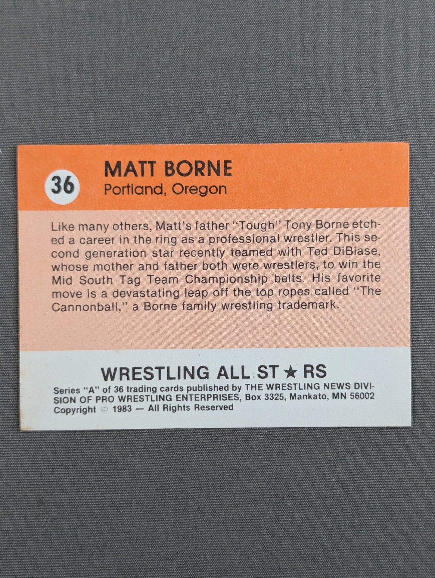 ★1983 WRESTLING ALL STARS Series A★ マット・ボーン