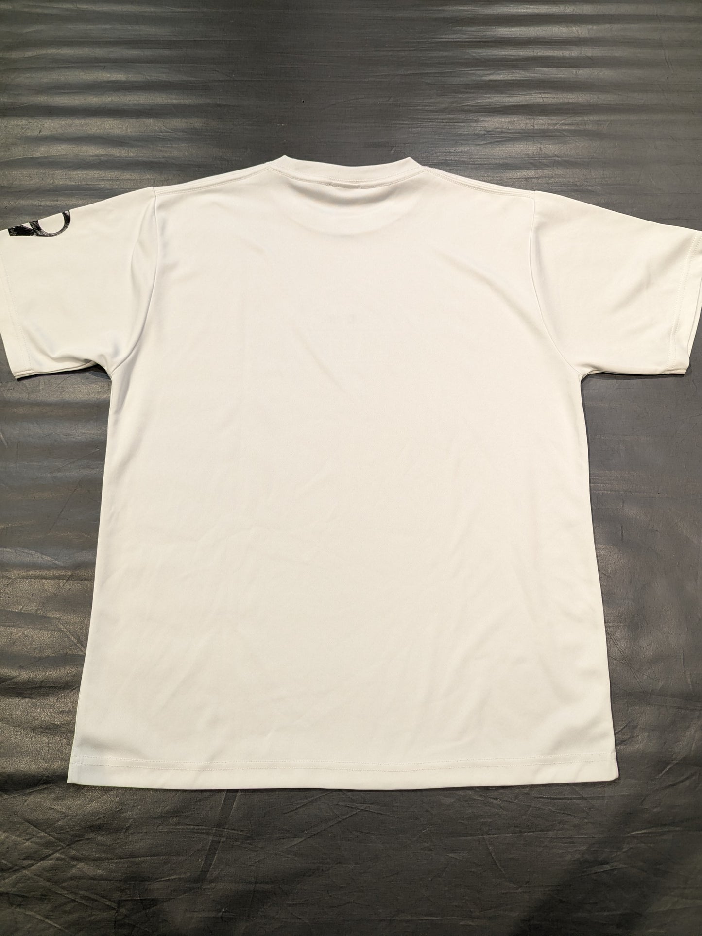 Piledriver Harajuku Circle Logo Dry T-Shirt