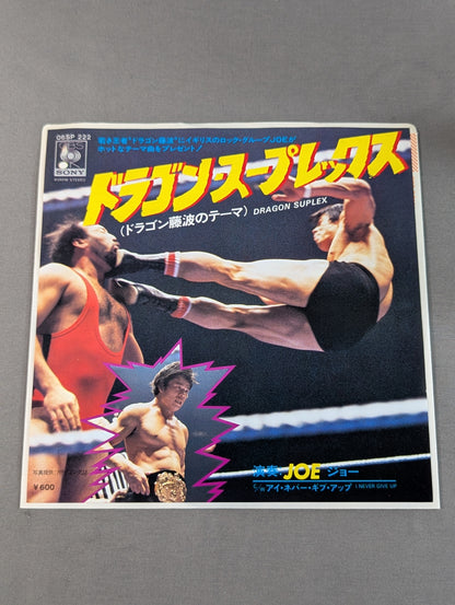 Dragon Suplex (Dragon Fujinami theme)